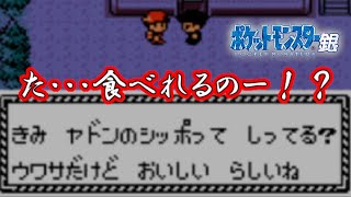 【激闘ゆうぽん】ポケットモンスター銀 第６話「ヤドンの尻尾って食べれるのーーー！？」【ジョウト地方】