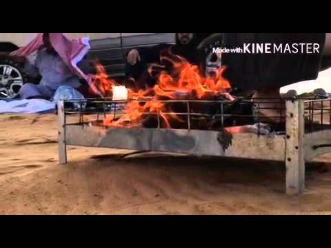 البر في بريده بصبة الاخوان من ال بارويس