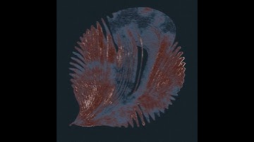 BioBloody1  -- touchdesigner -- vcvrack -- audioreactive--houdini
