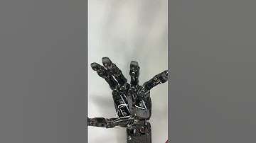 Version 2 DexHand