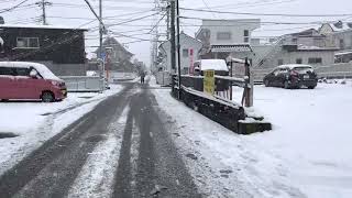 Walk in snowfall | sound of snow | Cool relaxing snow day in Japan