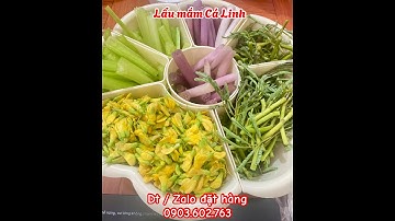 Lẩu Mắm Cá Linh bông Điên Điển - Đặc sản Miền Tây Mãi Đỉnh - Chuyên Cá Linh non tại TP.HCM #calinh