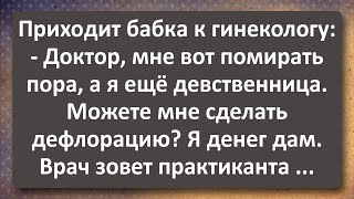 Бабка У Гинеколога! Сборник Самых Свежих Анекдотов! Юмор!