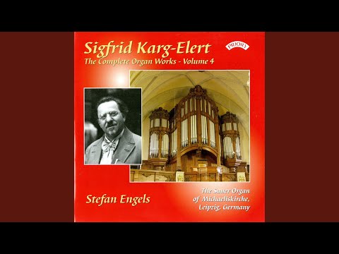 Watch Passacaglia in E-Flat Minor, Op. 25b: XIV. Più moto ed amabile on YouTube