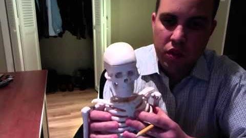 Axial Skeleton Lab Video