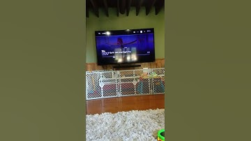 Vizio tv startup and shutdown