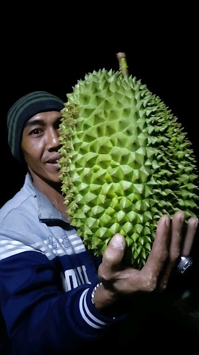 NIH KEONG DURIAN NYA LEBIH GEDE DARI KEPALA LO INI🤭 #Shorts #Durian #Mulyadigana