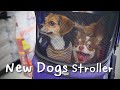 ไปซื้อรถเข็นคันใหม่ ให้น้องหมา 🐾🐕 | New Dogs Stroller 🐕🐾