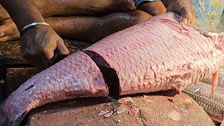 Amazing Giant Katla Fish Cutting In Fish Market | Fish Cutting Skills