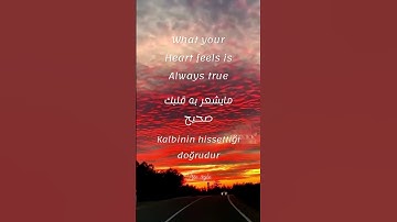 Thumbnail of مايشعر به قلبك صحيح مترجمة للانكليزي والتركي حالات واتس
