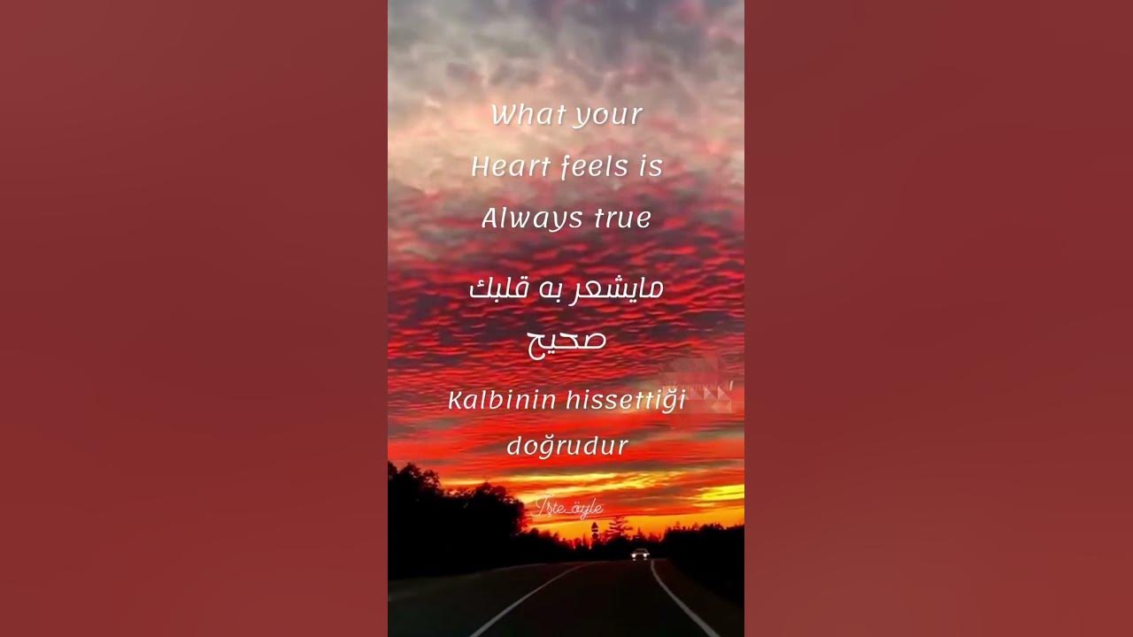 مايشعر به قلبك صحيح مترجمة للانكليزي والتركي حالات واتس