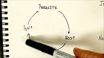Computer Aided Drug Design(CADD). First assignment