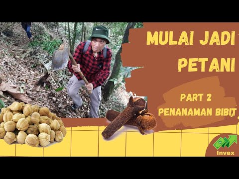 Mulai Jadi Petani Part 2 : Penanaman Bibit Kapulaga dan Cengkeh