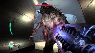 Evolve Glitch