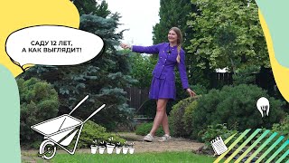 Обзор взрослого сада через 12 лет | Взрослый сад | Можжевельники в саду | Хвойные в саду