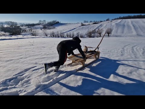 Video: Ar trebui să porți lemne în zăpadă?