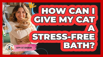 How Can I Give My Cat A Stress-free Bath? - Happy Cat Handbook