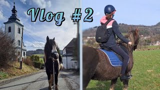 VLOG DRUHÝ - první naše dlouhá procházko/vyjížďka s Lindou & Happy