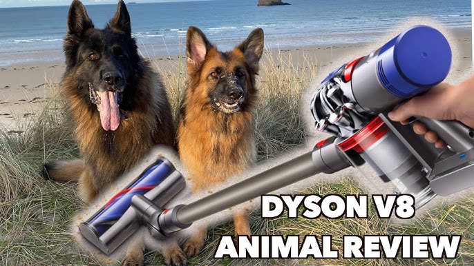 Review of the Dyson V8 Animal YouTube