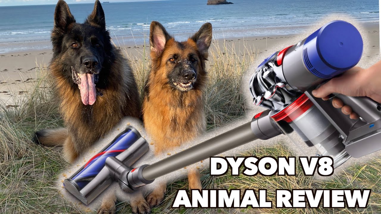 Dyson V8 Review 