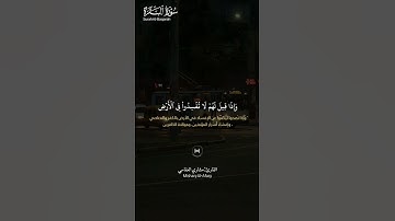 #سورة_البقرة ||حالات واتس قرآن ||القارئ#مشاري_العفاسي #تلاوة_هادئة #المصحف #لايك #راحة_نفسية