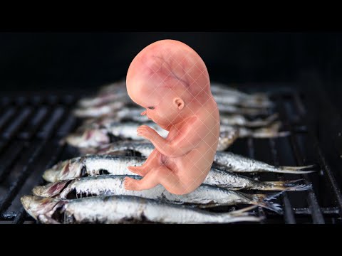 فوائد السمك للحامل والجنين