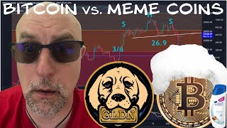 Meme Coin Mania: Can It Continue?