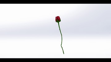 Rose Design | SolidWorks