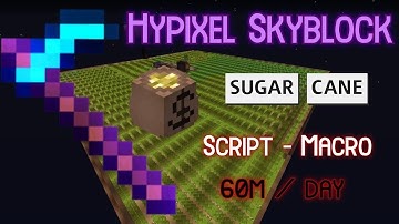 Cheeto Auto Farming MOD I Hypixel Skyblock I Undetectable I WORKING 2022!