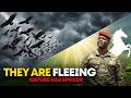 The Omens of the Sahel: Why the Vultures Are Fleeing Burkina Faso