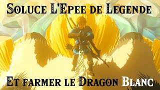 ZELDA TotK - Master Sword Walkthrough and Tips for Farming the Light Dragon screenshot 5