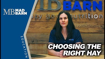 How to Choose the Right Hay for your Horse [Guide]