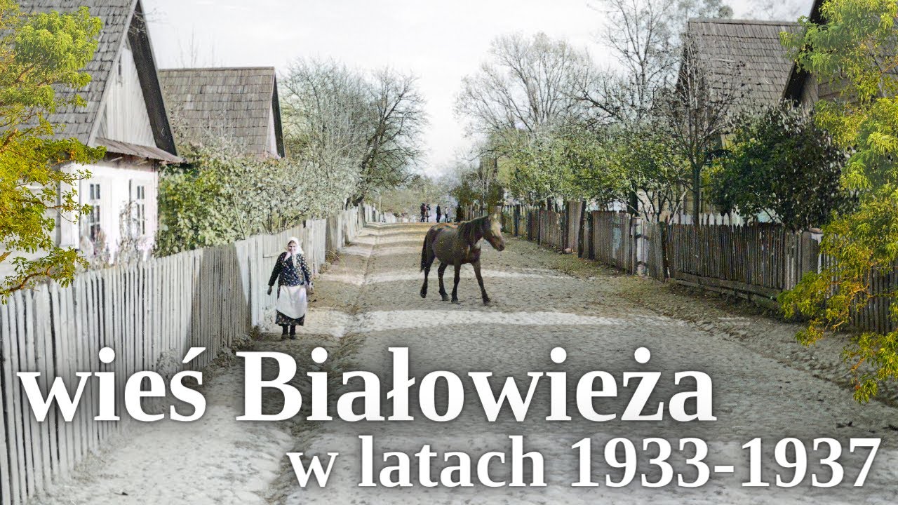 Wieś Białowieża w latach 1933 - 1937 / Białowieski Park Narodowy