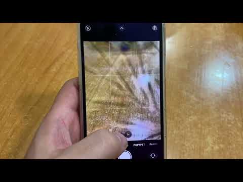 Проблема с камерой iphone 12 обновление iOS 16