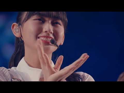 【初心者必見！】櫻坂46 メンバー紹介動画！【PV full】
