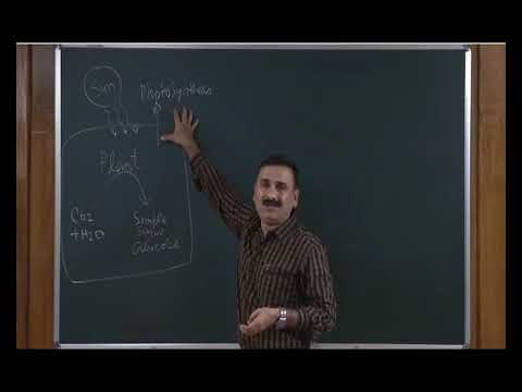 Bio class 11 unit 15 chapter 01   -human physiology-digestion and absorption   Lecture -1/5
