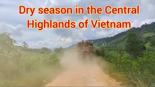 Dry season in the Central Highlands of Vietnam