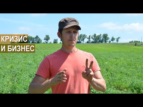 Фермерский бизнес в