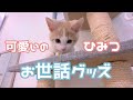 我が家の猫さん犬さんのお世話グッズをご紹介~\^^/