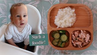 What My 8-Month-Old Baby Eats in a Day (Hint: Same as Me!) by VitaLivesFree 1,285 views 4 years ago 6 minutes, 23 seconds