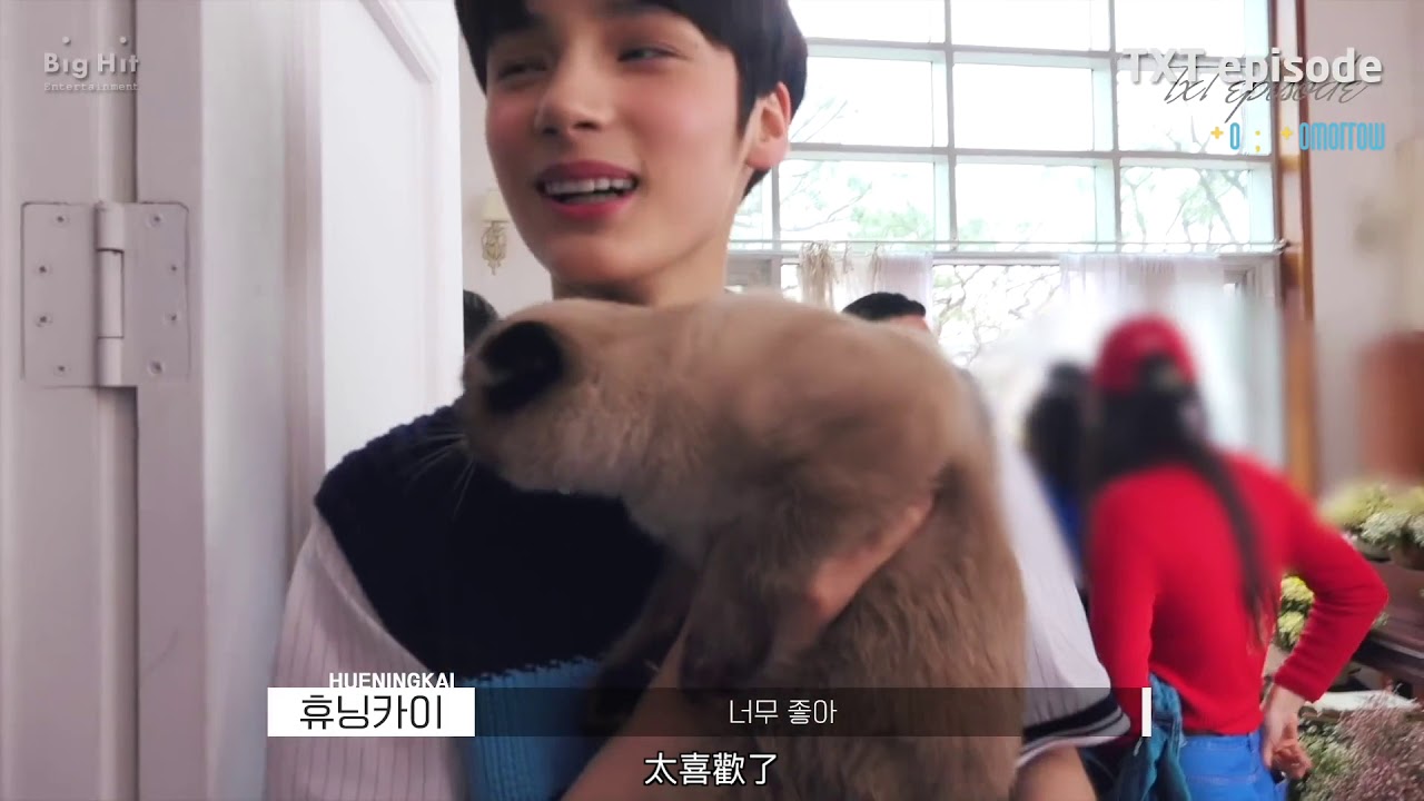 txt logo 【To ; morrow_中字】TXT (투모로우바이투게더) - #EPISODE ‘Cat & Dog’ Jacket shooting sketch