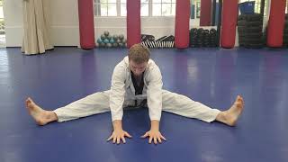 Online Course: Kids Beginner TKD: Lesson #22