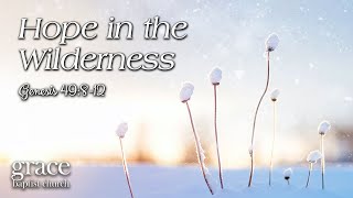 Sports Performance Hope in the Wilderness | Genesis 49:8-12
