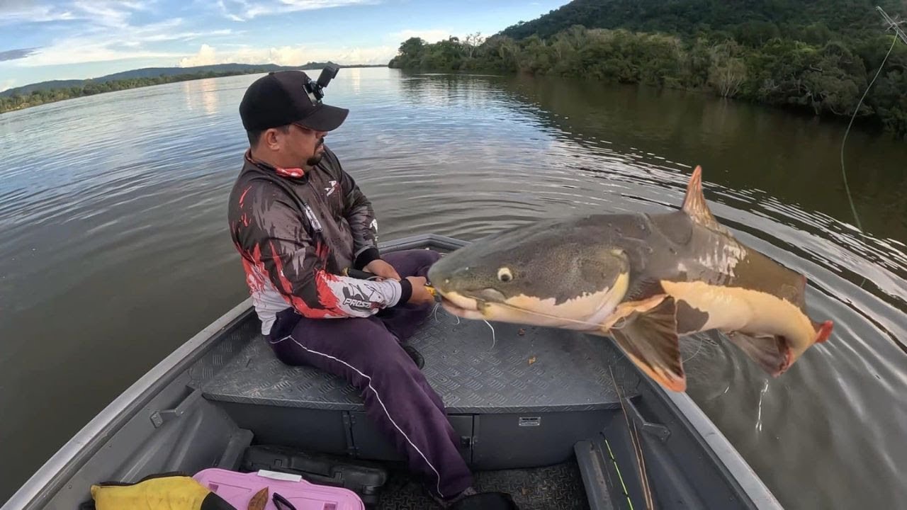 BRIGA EMOÇÃO CHORO E ALEGRIA OLHA O TAMANHO DO MONSTRO