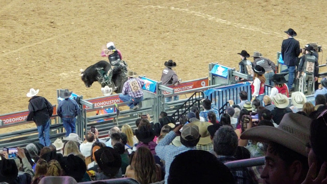 Bull Rider KO'd Rodeo Houston 2019 - YouTube