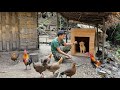 Dog cage design, go down to the stream to catch frogs after rainy days, survival alone, survival