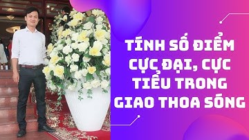 Vật lý 12. Tính số điểm cực đại, cực tiểu trong giao thoa sóng nhanh nhất và hay nhất || Thầy NPT