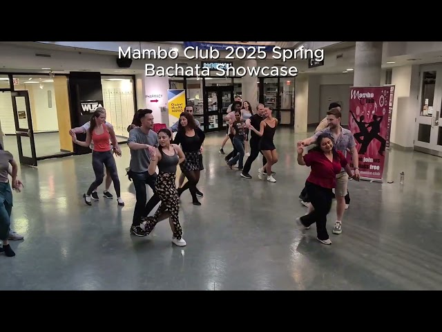 mamboclub.ca