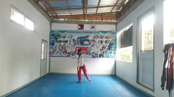 MA FRANCES CATHERINE AGUIRRE / AETC / YELLOW