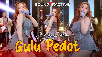 GULU PEDOT - AJENG FEBRIA (Official Music Live)